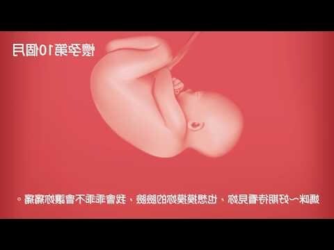 小孩 成長